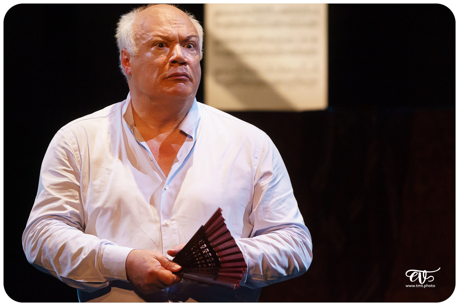 MADAME PYLINSKA ET LE SECRET DE CHOPIN (ERIC-EMMANUEL SCHMITT)